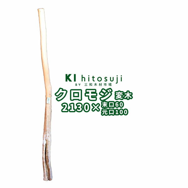 【変木】クロモジ 長さ2.1m 末口幅60mm 18042181 ΔDIY 木材 材料 変木 丸太 床の間 茶室 自然木 天然木 ショーウインドウ ウィンドウディスプレイ イベント 大道具 クロモジΔ