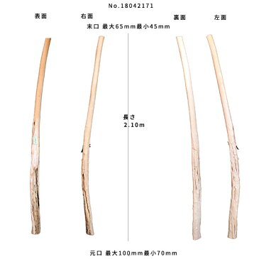 【変木】クロモジ 長さ2.1m 末口幅45mm 18042171 ΔDIY 木材 材料 変木 丸太 床の間 茶室 自然木 天然木 ショーウインドウ ウィンドウディスプレイ イベント 大道具 クロモジΔ