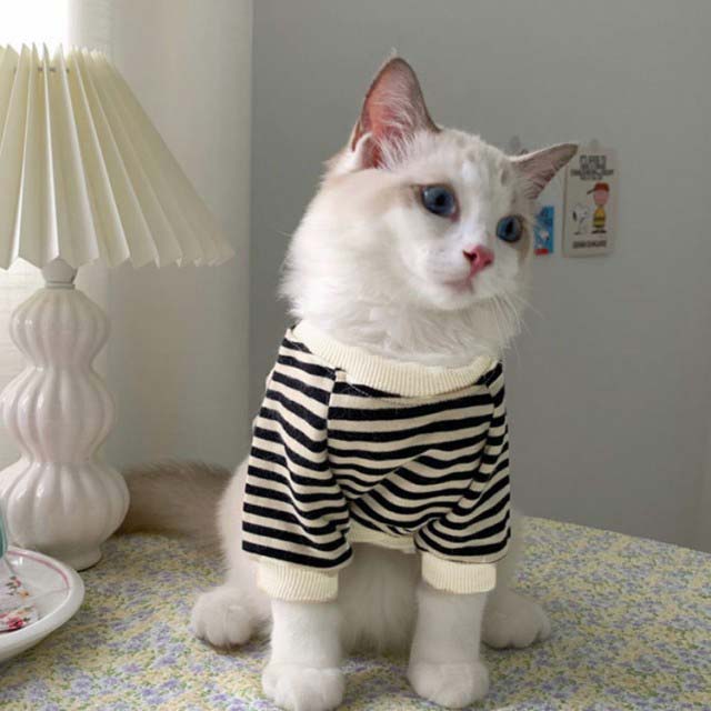 犬の服 猫の服 カバーオール ドッグウェア 小...の紹介画像2