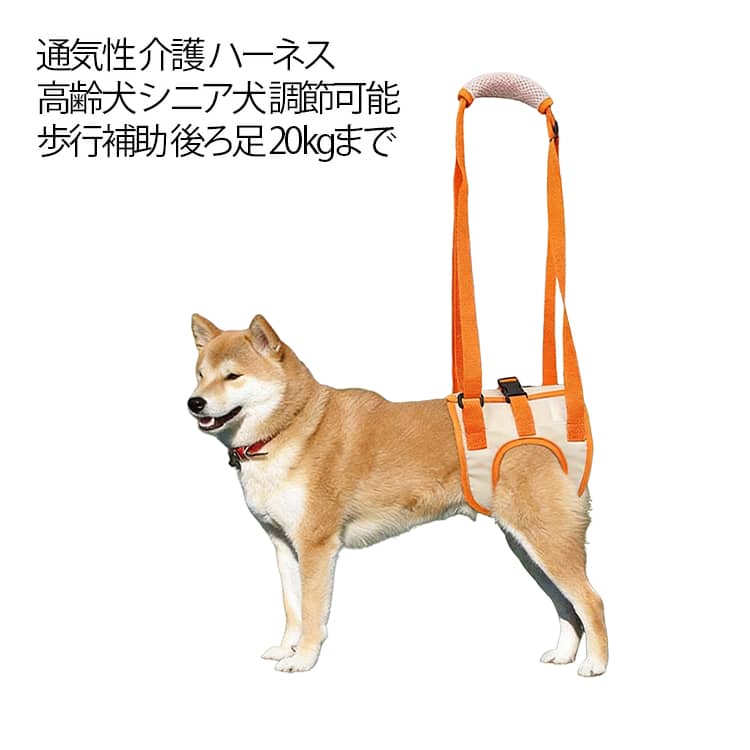 犬の老化、老化現象からの体力、筋力、関節の衰えや更年期により歩行や生活に支障が出てきた時に便利な、犬用介護用品になります。犬の体力が衰えることで、看護や介抱、犬の看病が必要になる、お出かけの時に歩行補助が必要になった時に便利です。後脚を支えるお出掛けに使用出来る、介添えに便利な後ろ脚を支える老犬介護用品。ずれないワンタッチのバックルで着脱簡単×腰回りはマジックテープで調節可能！ サイズ S M L XL サイズについての説明 詳しくは写真の通り。※商品のサイズは手作業で測定させて頂いておりますので、若干の誤差があります。 素材 オックスフォード ポリエステル 色 写真色 備考 ●サイズ詳細等の測り方はスタッフ間で統一、徹底はしておりますが、実寸は商品によって若干の誤差(1cm～3cm )がある場合がございますので、予めご了承ください。 ●製造ロットにより、細部形状の違いや、同色でも色味に多少の誤差が生じます。 ●パッケージは改良のため予告なく仕様を変更する場合があります。 ▼商品の色は、撮影時の光や、お客様のモニターの色具合などにより、実際の商品と異なる場合がございます。あらかじめ、ご了承ください。 ▼生地の特性上、やや匂いが強く感じられるものもございます。数日のご使用や陰干しなどで気になる匂いはほとんど感じられなくなります。 ▼同じ商品でも生産時期により形やサイズ、カラーに多少の誤差が生じる場合もございます。 ▼他店舗でも在庫を共有して販売をしている為、受注後欠品となる場合もございます。予め、ご了承お願い申し上げます。 ▼出荷前に全て検品を行っておりますが、万が一商品に不具合があった場合は、お問い合わせフォームまたはメールよりご連絡頂けます様お願い申し上げます。速やかに対応致しますのでご安心ください。