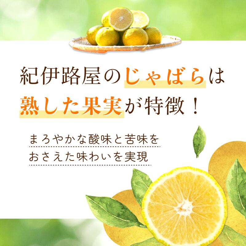 サンプル画像3
