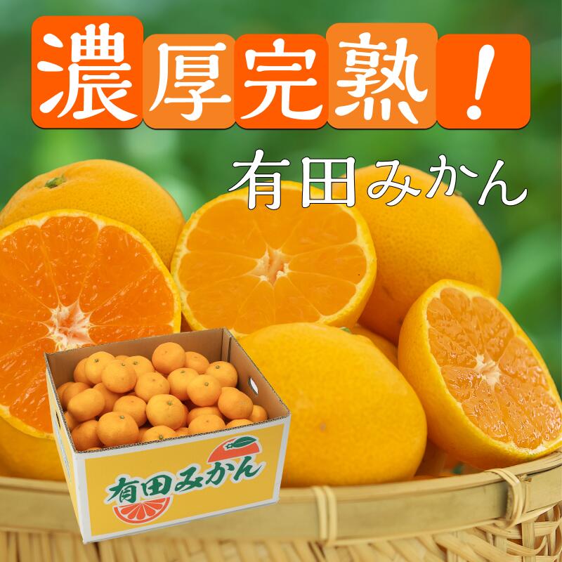 和歌山 紀伊路屋 有田産 みかん(優品) 5kg