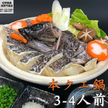 幻の超高級魚 本クエ鍋セット 600g 3〜4人前 クエ くえ 鍋 しゃぶしゃぶ 海鮮鍋 【天然 クエ鍋 くえ鍋 鍋セット 海鮮 セット 高級魚 プレゼント ギフト 御祝 内祝い グルメ お取り寄せ 送料無料】