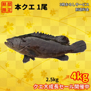 抗生物質についてフランス人100人に訊いてみた 抗生物質についてフランス人100人に訊いてみた