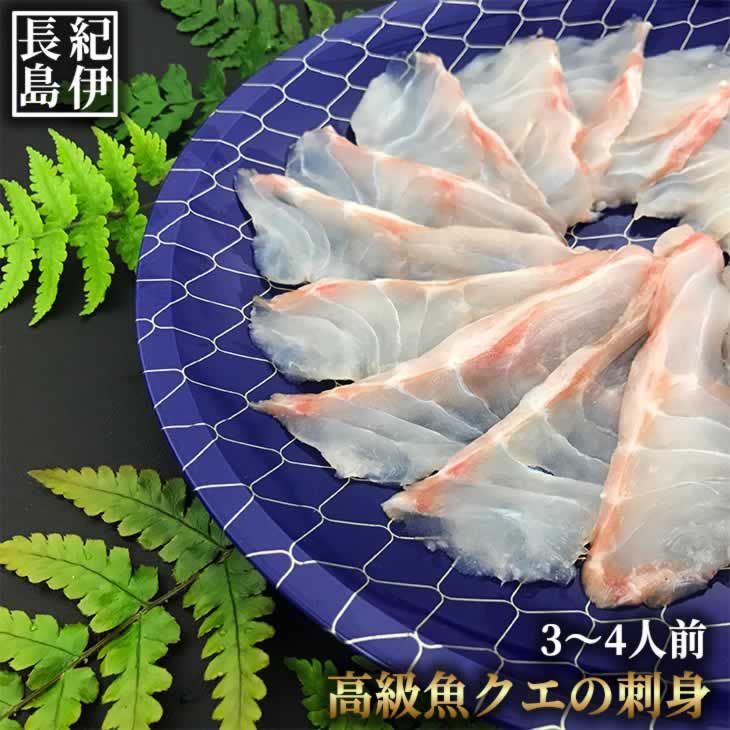 【ふるさと納税】 クエ 刺身 薄造り 4〜5人前 240g 幻の高級魚 山口県 長門市 仙崎産 白身の王様 冷凍 (1355)