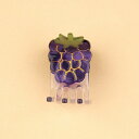 coucou suzette ククシュゼット Blackberry Mini Hair Claw ヘアクリップ ヘアアクセサリー coucousuzette レ...