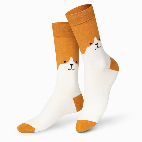 【送料無料】 クルーソックス(ライトグリーン・パープル・ブラック)(23-25cm)(3足セット)みっとめるへん社