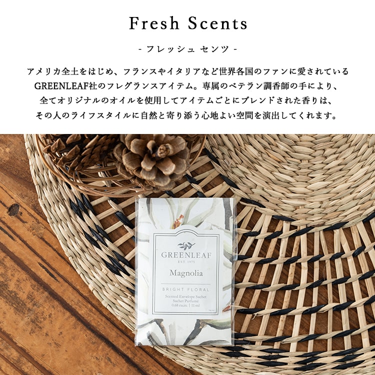 ˧��� ������ ���꡼��꡼�� GREEN LEAF �ե�å��奻���S �� ������ ��� ���襤�� ������� �ץ쥼��� ���ե� ���� �� ������ �ޥ��Υꥢ ��٥����