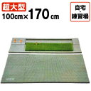 ゴルフ 練習 マット ゴルフマット 練習マット 打席マット 練習用マット 本格派 大型 超大型 大きい 広い 大人用 男性用 ドライバー スタンス アイアン ウ...