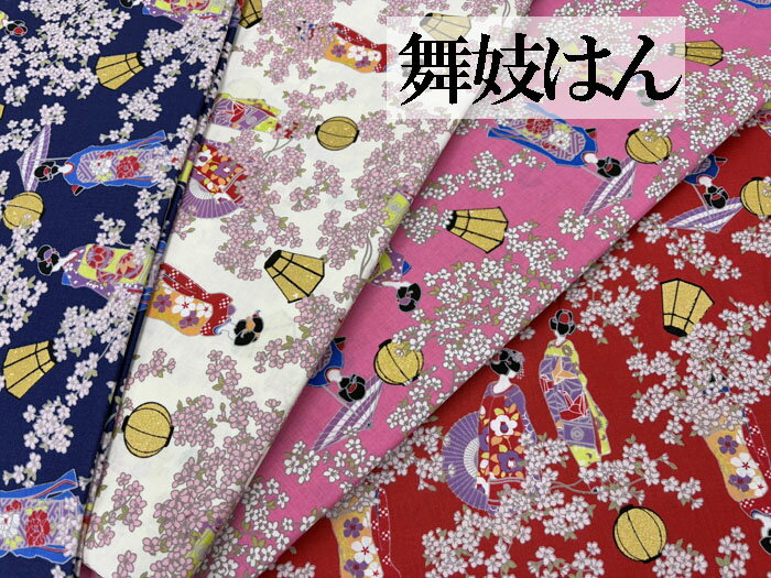   񵸤Ϥ MAIKO  ϡ