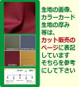 生地サンプル ポリエステル TX68700【送料無料 クロネコゆうパケット便配送 代引不可】無地 合繊繊維 カラー ポリエステルリネン ブラウスやスカート、ワンピース、インテリアなど小物にも 3