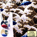 ドビー サザンクロス コットン生地 和柄 富士山 波柄(3)