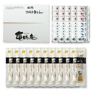 お徳用半生讃岐うどん並切り麺300g×10袋つゆ付セット【A-71012】 | うどん 讃岐うどん さぬきうどん 饂飩 讃岐 さぬき 香川 お取り寄せ お取り寄せグルメ 内祝 釜玉うどん つゆ付き 釜揚げうどん グルメ ギフト 内祝い 贈り物 半生 うどんすき 卒業祝い 取り寄せ 快気祝い