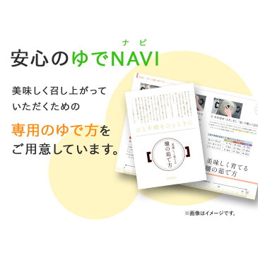 ネット限定！ざるうどんと生醤油うどんの讃岐うどんセット！ 送料無料！【楽ギフ_包装】| お中元 お返し 引越し祝い 誕生日祝い 内祝い 贈り物 食べ物 お礼 贈答 グルメ gift udon プレゼント お取り寄せ 本場 香川 うどん お土産 さぬきうどん