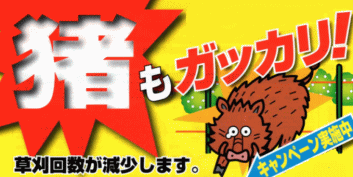 ■ニューいのでん(北原電牧) 2段 200M センサー無 追加電流■乾電池式/鳥獣対策/送料無料電気柵/いのしし/ハクビシン/農園/作物/KITAHARA【smtb-kd】