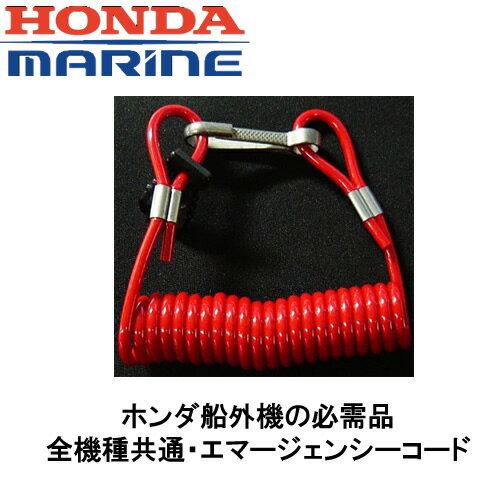 ۥɬʡﶦ̡ޡ󥷡HODNA ۥ ĵ Honda 󥸥   եå ƥʥ   ޥ쥸㡼