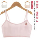 ジュニアブラ メッシュ キッズブラ ブラジャー 3枚セット ノンワイヤー ハーフトップブラ スポーツブラ ファーストブラ タンクトップ 子供用 小学生 高学年 ...