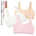 ハーフトップブラ メッシュ キッズブラ ブラジャー ジュニアブラ 3枚セット ノンワイヤー スポーツブラ ファーストブラ タンクトップ 子供用 小学生 高学年 ...