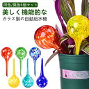 【同色/異色6個セット】 自動水やり器 ガラス 自動水やり機 家庭用 庭 水やり機 水やり器 オシャレ 可愛い 上品 美しい 鉢植え 植物 観葉植物 自動 水や...