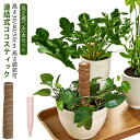 2本入 連結式 モンステラ 支柱 ココスティック 観葉植物 支柱 園芸支柱 植物 ガーデニング用 花ささえ ココナッツ支柱 植物サポート つる性植物 トマト ポ...
