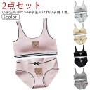 下着 キッズブラ 小学生 綿 高校生 ショーツセット ファーストブラ スポーツブラ ジュニアブラジャー シンプル 上下セット 学生 リブ ノンワイヤーブラ ジュ...