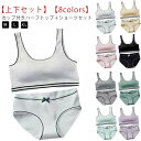 セット ブラジャー ジュニア 子供用 ジュニアブラ ショーツ セットアップ 女の子 インナー 下着 キッズブラ 小学生 綿 スポブラ コットン スタンダードショ...