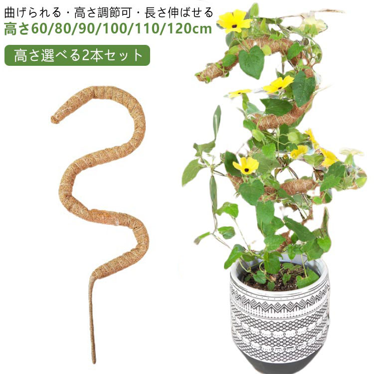 2本入 モンステラ 支柱 曲げられる ココスティック 観葉植物 支柱 園芸支柱 植物 ガーデニング用 花ささえ ココナッツ支柱 植物サポート つる性植物 トマト ポトス 支柱 園芸用 園芸支柱パーツ 高さ調整可能 ココナッツ モンステラ支柱 植物成長 おしゃれ