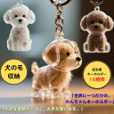 【15%OFF2点→1020円】犬の毛収納キーホルダー メモリアルペットグッズ 透明ケース 愛犬 犬の毛キーホルダー 遺毛 ケース 遺毛入れ 抜け毛入れ 犬の毛収納ボトル 犬毛玉入れ ペット遺毛ケース 遺毛入れ 柴犬 ペット遺毛入れ 遺毛入れ 犬の毛収納ホルダー トイプードル