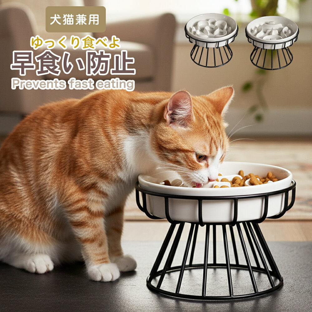 早食い防止 ペットフードボウルスタンドセット 犬 いぬ 猫 ねこ ペット 水 犬 水飲み スタンド 水入れ 犬水飲み器 犬 水 入れ こぼれ ない ひっくり返す みず 台 ボウル 器 皿 足つき 陶器 容器 こぼれない ホルダー お皿 水皿 水台 うつわ ウォーター ボウル