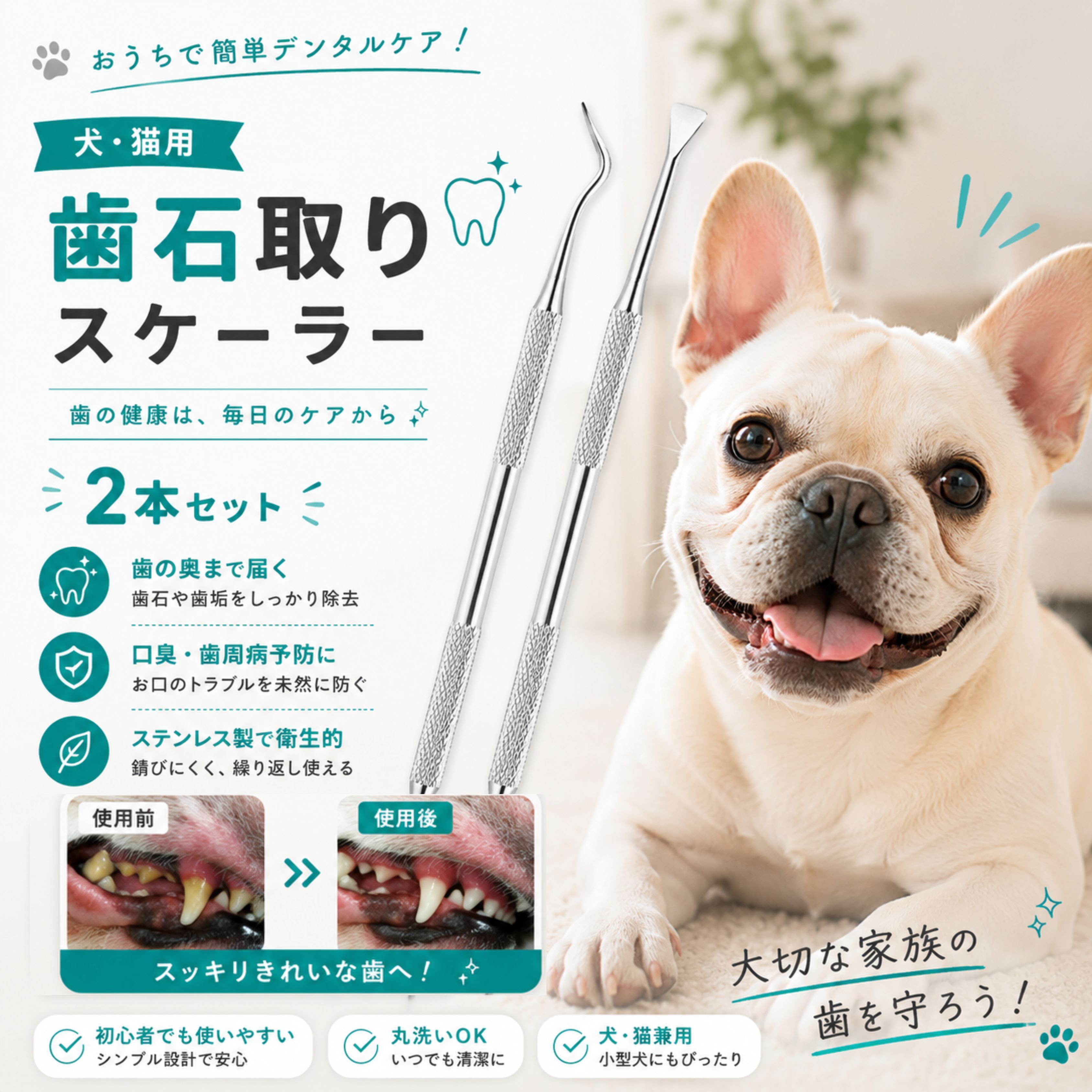 ★最大15%割引クーポン★歯石取り 器具 犬 2点セット ペット用 犬用 犬 歯 黄ばみ 汚れ 歯石 除去 歯磨き粉 歯周病 歯磨き 歯みがき はみがき ハブラシ 歯ブラシ 口臭ケア ブラシ カップ スケール スケーラー ペット