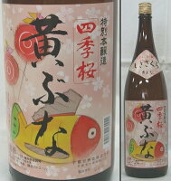 栃木・宇都宮酒造　四季桜(しきさくら) 特別本醸造　黄ぶな　1800ml