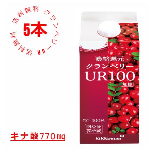 キッコーマン からだ想い　クランベリーUR　 クランベリー　クランベリージュース　クランベリーUR100　500ml×5本