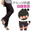 スーパーSALE 裏起毛 レギンス スリム ハイテンションパンツ ミセス レディース ハイウエスト 美脚パンツ 美脚 パンツ ストレートパンツ 大きいサイズ 大きめ ゆったり 冬パンツ 冬 防寒 暖かい あったかい Mrs Lv3 4,030円