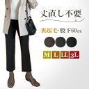 裏起毛 ストレッチ 丈直し不要 レディース 美脚パンツ