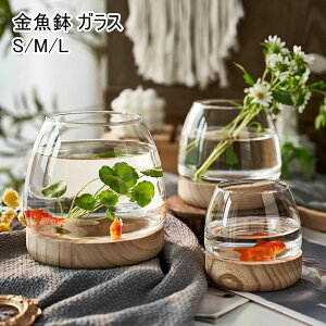 【激安販売中!】金魚鉢 ガラス 丸 金魚 水槽 小さい メダカ水槽 インテリア メダカ 容器 テーブル アクアリウム ボウル 水培 大容量 おしゃれ メダカ飼育容器 小型 メダカ飼育鉢 小さな魚の水槽 透明小さな水族館 飼育水槽 メダカ鉢 観葉植物