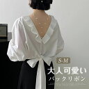 【今だけ!限定価格4296→3401円 9/12 迄】シャツ ブラウス レディース きれいめ フリル襟 バックリボン 長袖 トップス 大人可愛い カジュアル ナチュラル タック入り 通勤 オフィス ビジネス 春 夏 フォーマル 大人 バックデザイン 森ガール おしゃれ シャツブラウス 綿