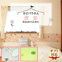 ☆ポイント最大12倍+クーポン【公式】【送料無料】壁紙 カピバラさん 45cm×2.5m かわいい おしゃれ ウォールステッカー 雑貨 シール 賃貸OK 卒業 入学 新生活 ギフト