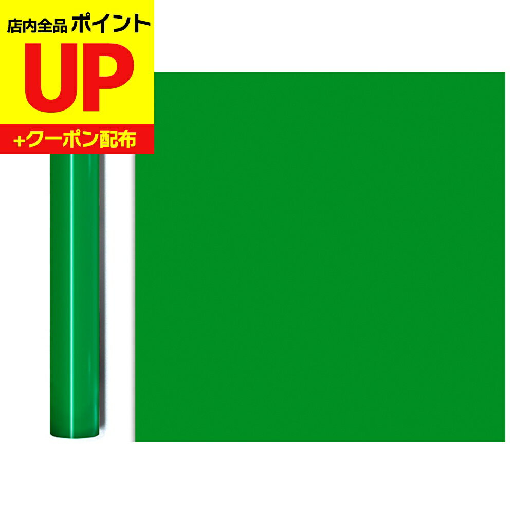 ＼15日超ポイントアップ+クーポン／リメイクシート 屋外用 イエローグリーン オラカル651 50cm×10m巻/O..