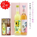 ポイント2倍 梅酒 & ゆず酒 プレゼント 夏ギフト ギフト おしゃれ 500ml × 2本 リキュール 飲み比べ セット メッセージシール 化粧箱 送料無料 女性 飲みやすい うめ 酒 柚子 酒 フルーティー 燦然 倉敷小町 日本酒 ベース お酒 お中元 御中元