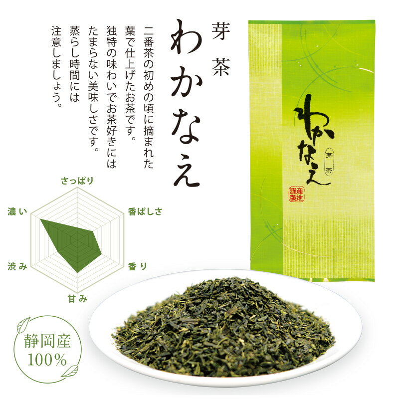 芽茶 わかなえ 掛川茶 100g お茶 茶葉