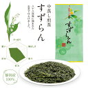 中蒸し すずらん 掛川茶 100g お茶 茶葉 おちゃ ocha 掛川 菊川 国産 菊川製茶(4)