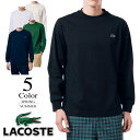 yԌN[|zzzy[ցE䂤pPbgzOX[uTVckx[VbNl y4/5FYzRXe LACOSTE StEFA Vc Yy|Cg5{zy2024tĐV샂fz th5583-99