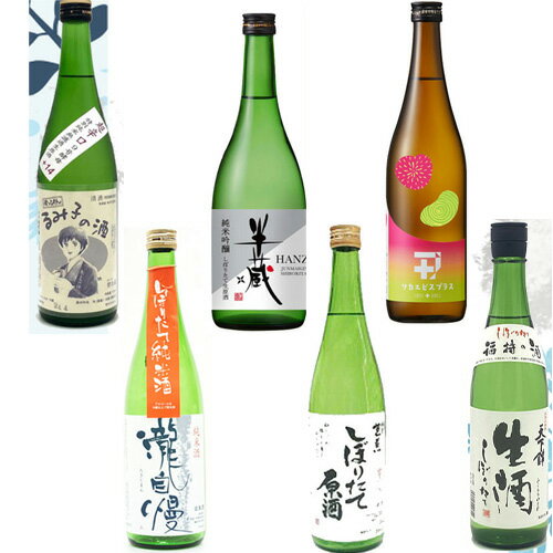 日本酒 新酒 720mL 6本 飲み比べ セット / 伊賀 名張 地酒 / 森喜酒造場 すっぴん るみ子 超辛 / 大田酒造 半蔵 / 若戎酒造 ワカエビスプラス / 瀧自慢酒造 純米しぼりたて / 橋本酒造場 芭蕉 しぼりたて原酒 / 福持酒造 天下錦