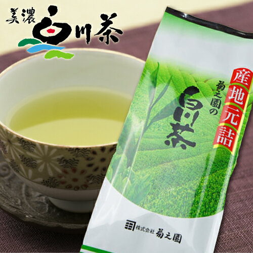 煎茶　白川茶　菊之園　お茶岐阜　