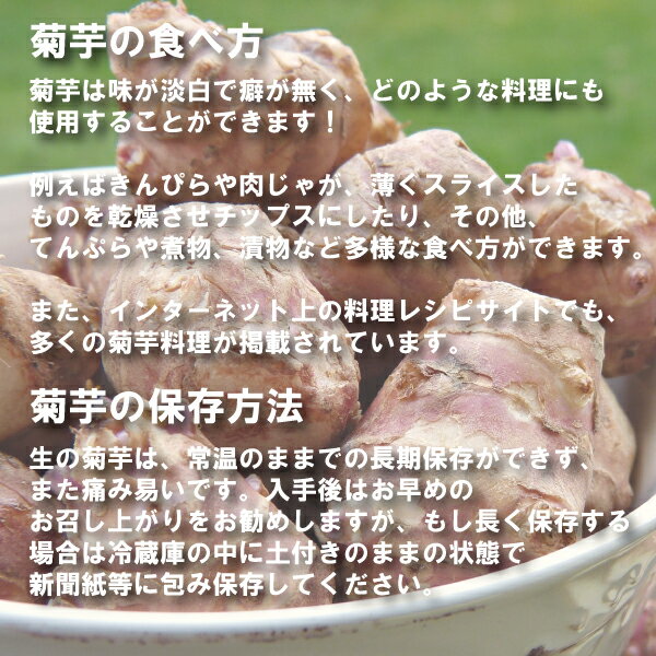 【送料無料】菊芋チップス50g×2袋 (北海道...の紹介画像2