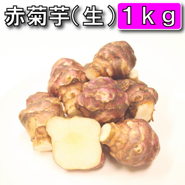 【条件付き送料無料】今話題の菊芋 1kg （北海道産 遠別産 無農薬 化学肥料不使用 生 土付き 赤 ...