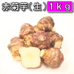 【条件付き送料無料】今話題の菊芋 1kg （北海道産 遠別産 無農薬 化学肥料不使用 生 土付き 赤菊芋 健康 イヌリン 水溶性食物繊維 短鎖脂肪酸 血糖値　世界三大健康野菜　低カロリー ダイエット 美容 原産地の緯度に近い良好な育成環境）