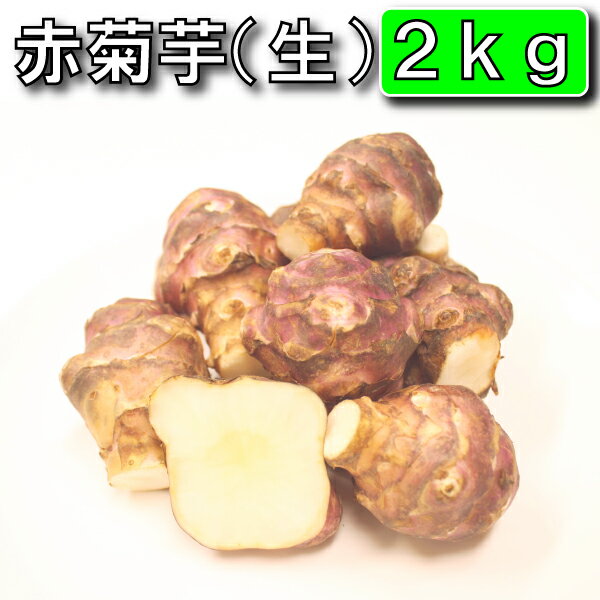 【条件付き送料無料】今話題の菊芋 2kg （北海道産 遠別産 無農薬 化学肥料不使用 生 土付き 赤 ...