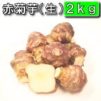 【条件付き送料無料】今話題の菊芋 2kg （北海道産 遠別産 無農薬 化学肥料不使用 生 土付き 赤菊芋 健康 イヌリン 水溶性食物繊維 短鎖脂肪酸 血糖値　世界三大健康野菜　低カロリー ダイエット 美容 原産地の緯度に近い良好な育成環境）