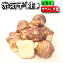 【わけあり商品】菊芋 2kg 【商品説明文をご参照ください】(北海道産...(4)